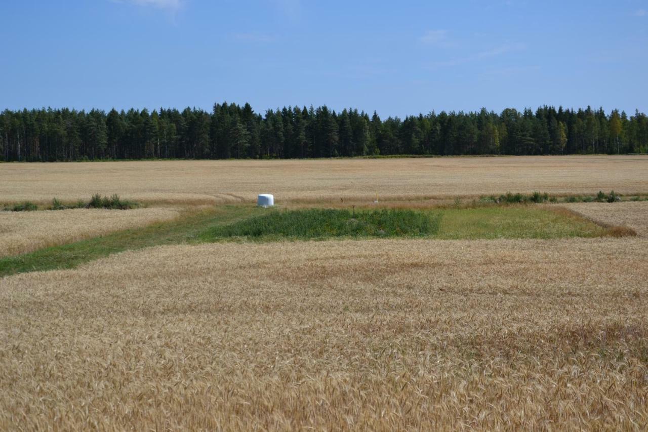 Vaermlandsnaes Valdersrud Stenroese Säffle Exteriér fotografie
